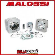 318237 MALOSSI 172CC D.65