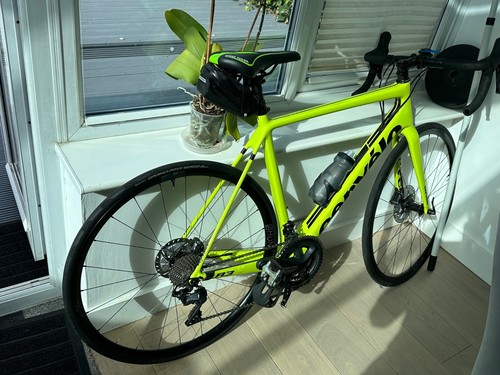 Cervelo carbon disc - carbon,