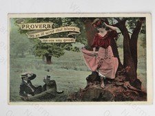 Proverb Ill Wind Blows No One