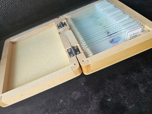 Microscope slides glass - microscope,