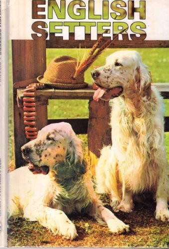 English setters pisano - setters,,