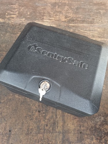 Sentrysafe fireproof safe - sentrysafe,