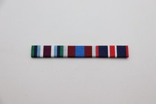 Wider Service Medal, Platinum