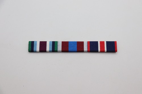 Wider service medal platinum - wider,