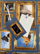 Horse Gift Wrap and tag set - Horse wrapping paper