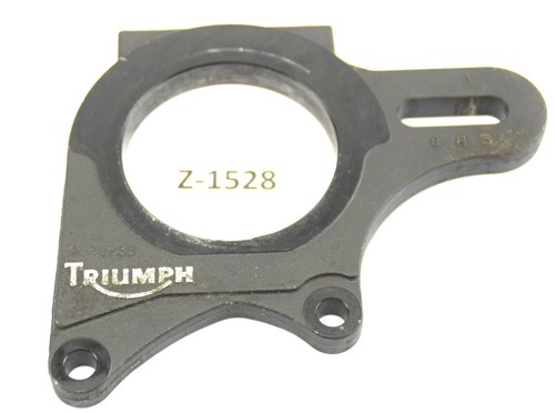 Triumph 509 speed triple - t,