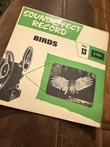 Birds ep picture - 45,