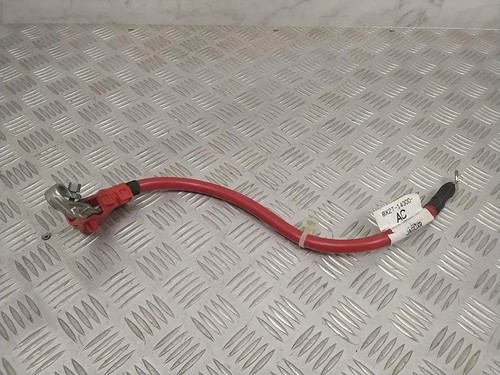 Jaguar x250 positive - jaguar,