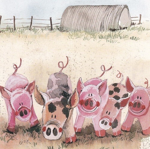 Five little pigs card alex - five,