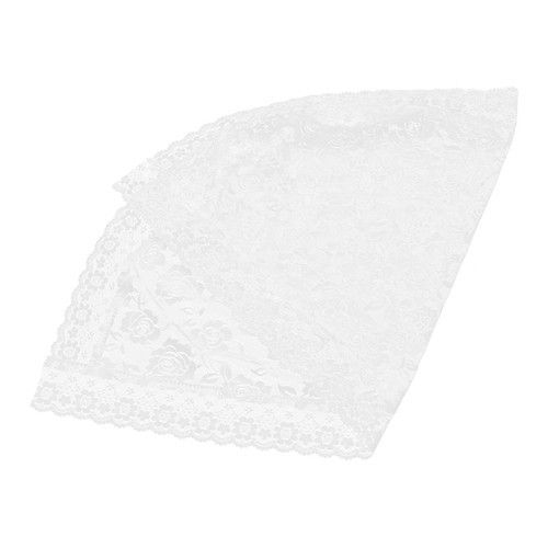 Elegant white bridal veil lace - elegant,