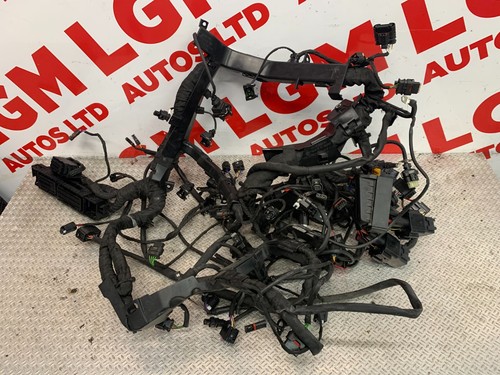 2022 bmw s1000xr - te, wiring