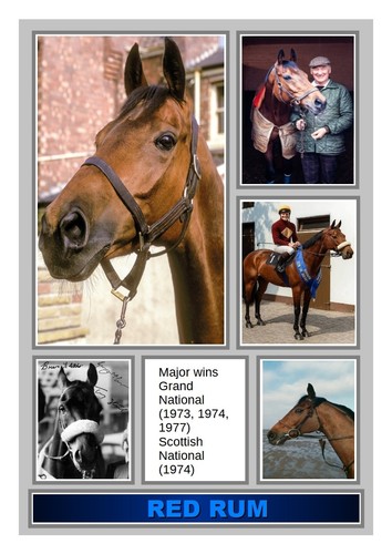 227 red rum - race, horse