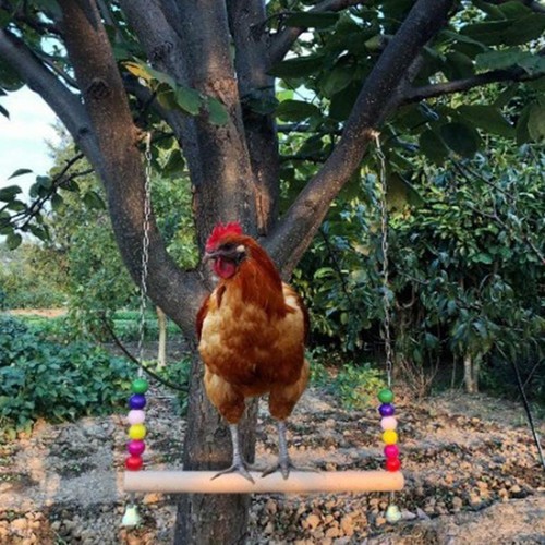 Handmade chicken swing with - chicken,