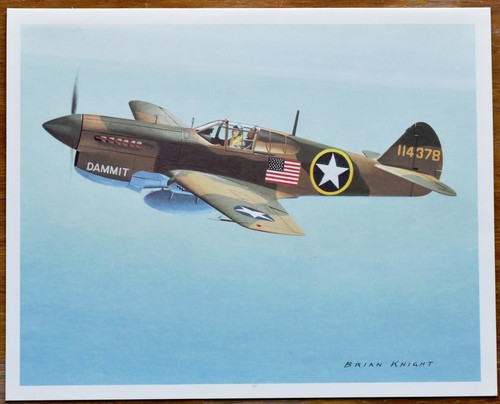 Curtiss warhawk brian - us,