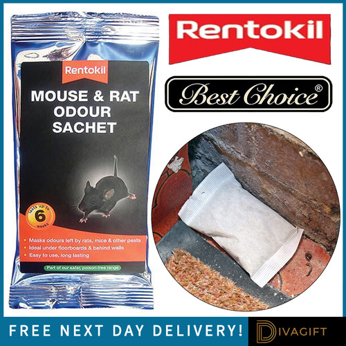 Mouse rat odour - mouse, masks