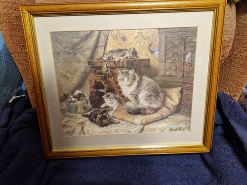 Fine art cat - fine, print