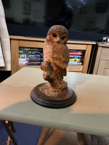 Country artist tawny owl - country,