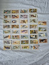 Brooke Bond Bird Portraits