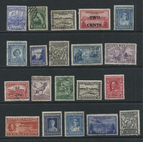 Newfoundland 25x different