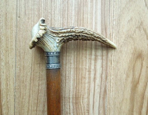 Vintage antler stag horn - antler,