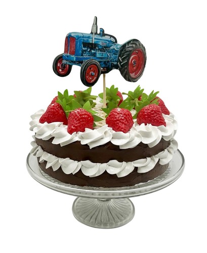 Fordson major tractor - major, cake