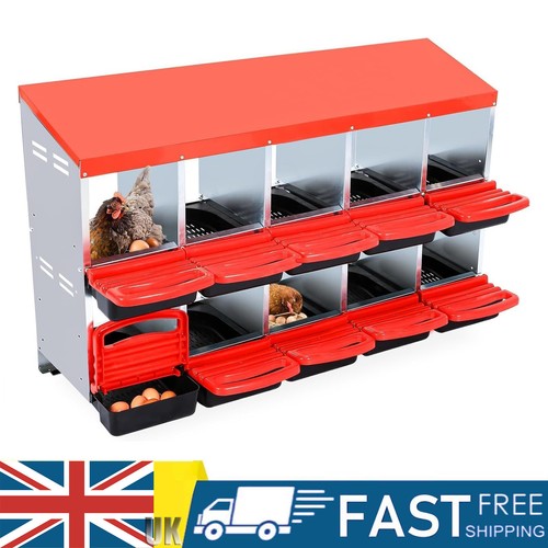 Compartments eggs laying - 10,