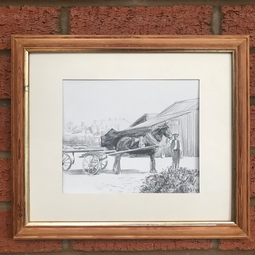 Shire horse drawing and cart - and,