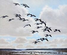 PETER SCOTT SIGNED LIMITED