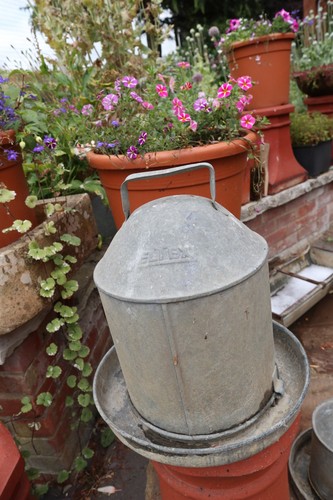 Vintage eltex galvanised - eltex,