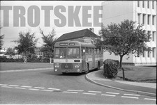 35mm Black and White Negative