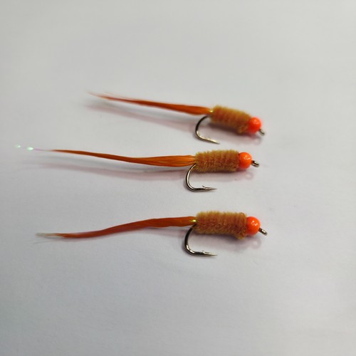 Orange hothead wooley - x,