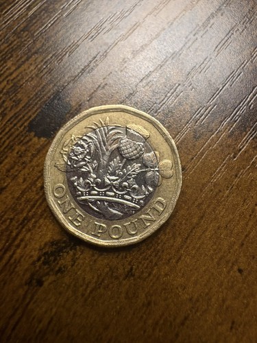 Pound coin collectors - pound, mint