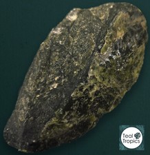 Cut & Clean Terrarium Stone