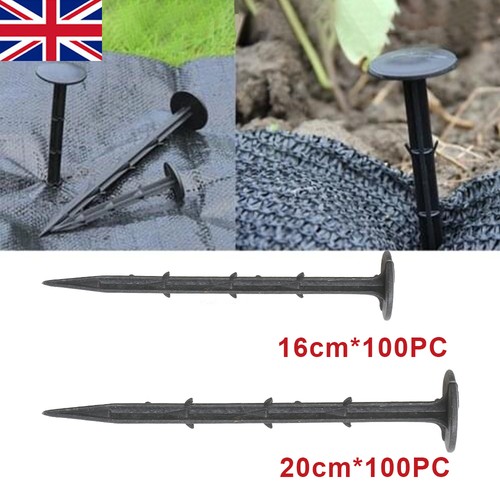 100 pegs for - 10~100,