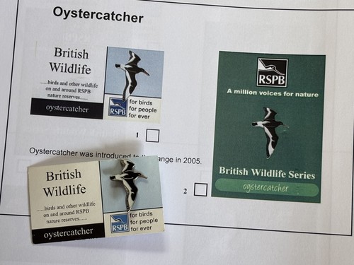 Rspb flying oystercatcher - rspb,