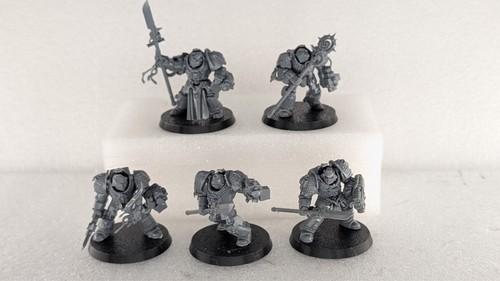 Paladin terminators squad - terminators, grey