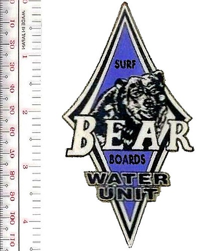 Surfing hawaii bear - hawaii,