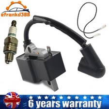 Ignition Coil & Spark Plug for