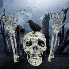 Skeleton bones prop - bones, ground