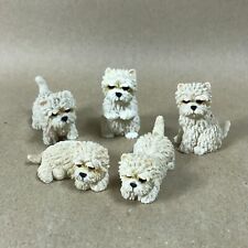 West Highland White Terrier