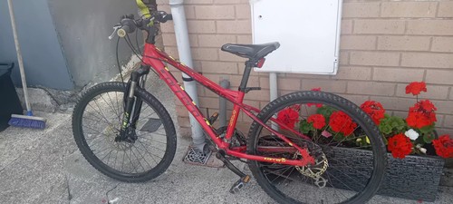 Mountain bike - mountain,