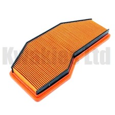 Genuine Air Filter T2204093
