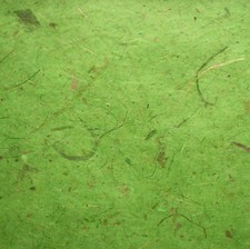 10 MULBERRY PAPER with BANANA