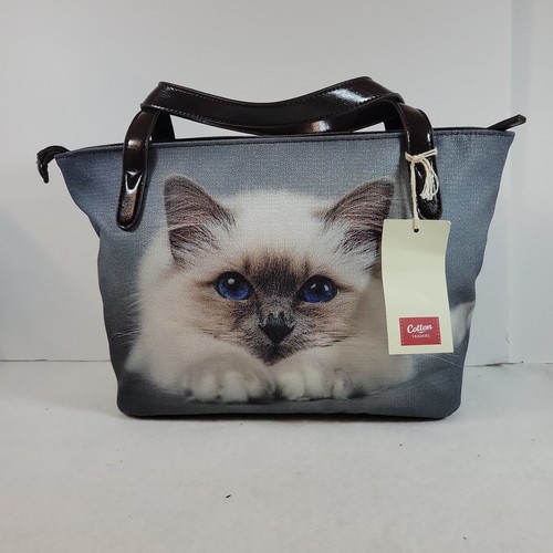 Ragdoll burman cat kitten - /,