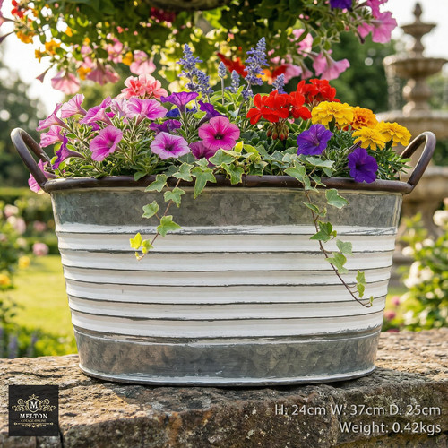 Vintage french style - french,