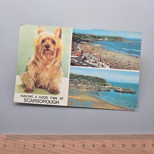 Vintage postcard having good - having, a