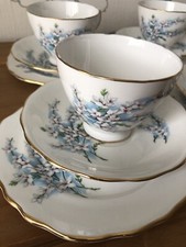 Royal Osborne Vintage Tea Set