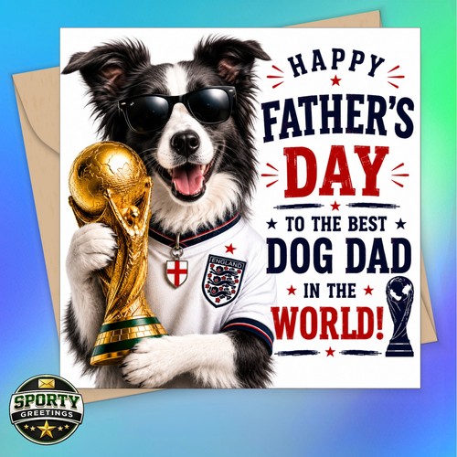 Border collie dog - border, dad