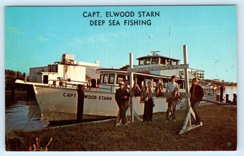 Naples florida deep sea - florida,