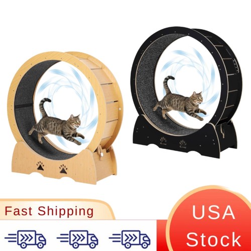 Low noise removable carpet cat - noise,